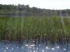 DSC00265.JPG