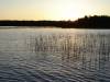 DSC00291.JPG