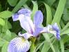 DSC00297.JPG