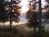 moose_hunt_06_060.jpg