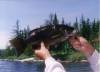 nice_bass.jpg