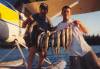 scan0099.jpg