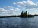 060.JPG