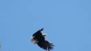 DSC00474.JPG