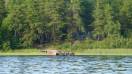 DSC00484.JPG