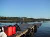 Time_To_Go_Lake_Shawmere.JPG