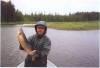 7lb_walleye.jpg