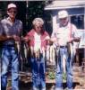 WALLEYE-13.JPG