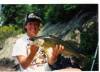 walleye-12.jpg