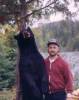 BearHanging1.jpg