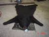 DSC01305.JPG