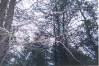 scan0119.jpg