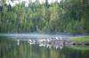 DSC_0178.JPG