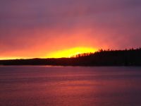 20110126_10r.jpg