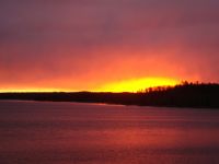 20110126_8r.jpg
