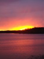 20110126_9r.jpg