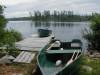 ARBEESEE91.jpg