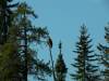 Lemoine_2003_049.jpg