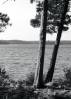 DSC00055.JPG
