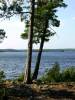 DSC00056.JPG