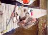 scan0015.jpg