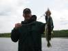 Ivanhoe_River_Walleye.JPG