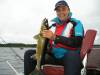 Walleye2.jpg
