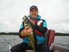 Walleye4.jpg