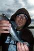 blue_walleye_.jpg