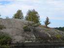 DSCN1572.JPG