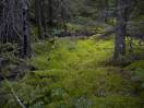DSCN1620.JPG