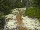DSCN1638.JPG