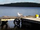 DSCN1668.JPG