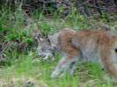 DSC000611.JPG