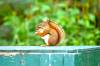 DSC_0188.jpg