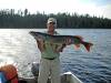Riverside_pike_5.jpg
