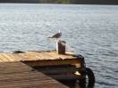 DSCN0742.JPG