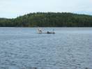 DSCN0794.JPG
