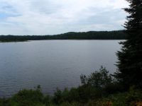 P8120290r.jpg