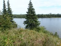 P8120348r.jpg