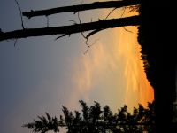 May5-FullCamera_279.JPG