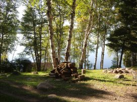 eagle cottage firepit