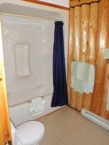 ivanhoe lake log suites 1-4 shower